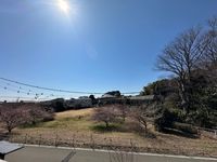 その他:眺望