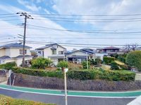 その他: