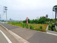 その他: