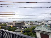 その他: