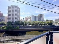 その他: