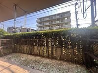 その他: