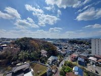 その他: