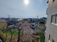 その他: