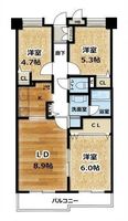 間取図/区画図:【R8年6月内装リノベーション完了しました！5階部分、南向きで陽当たり良好な3LDK】3沿線利用可「藤沢」駅まで徒歩15分ペット飼育可　オートロック完備