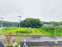 その他: