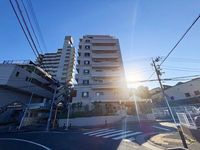 その他:
